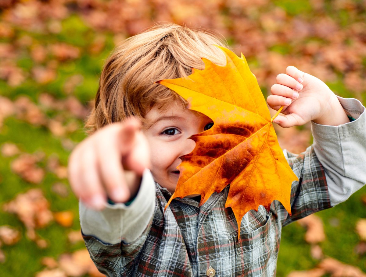 WellspringPFS's tweet image. With Thanksgiving Blessings...

May we all be grateful for the blessings of life and the miracles of family and friendship, with  our eyes open to the wonders of our planet and those we share it with.