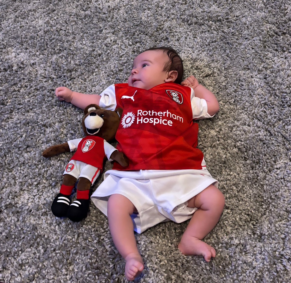 My little half Yorkshire baby 🥰✨ <a href="/RotherhamUnited/">Rotherham United</a>