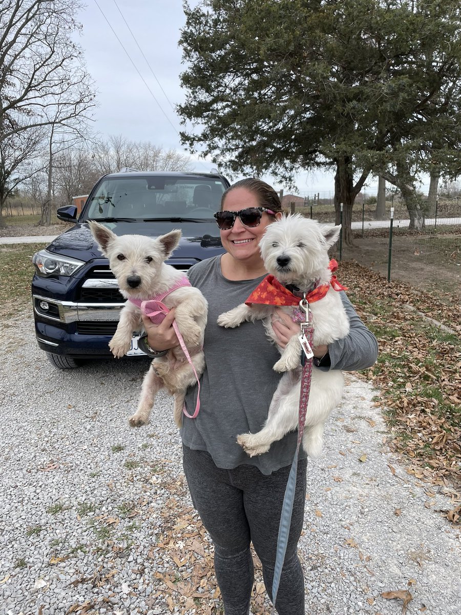 jodidanziger tweet media