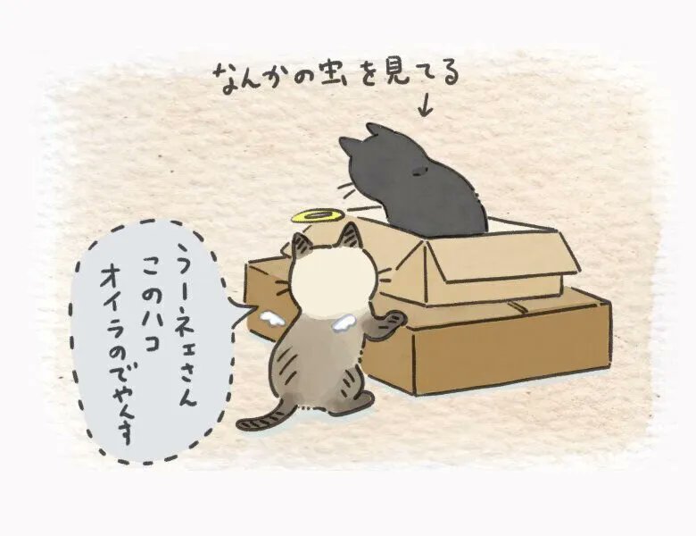 静かに過ごす日向ぼっこにも、猫の強いこだわりがあるらしい【連載】ねこ連れ草 297話め|ねこのきもちWEB MAGAZINE https://t.co/HjHoVMq8ZP