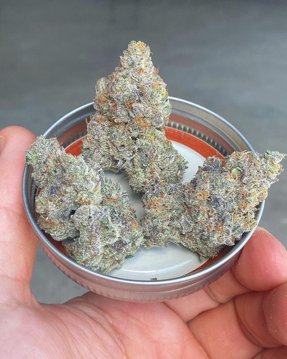 _StonersRUs_'s tweet photo. Bananacane 🍌❄️

#StonerFam #Mmemberville https://t.co/rgTGqeV4er