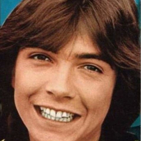 jessbythebsb's tweet photo. Only one who captured our hearts in that special way.. 🩷🩷🩷🩷🩷 #DavidCassidy #cutie #love #actorsinger https://t.co/MPKTRVEgU0