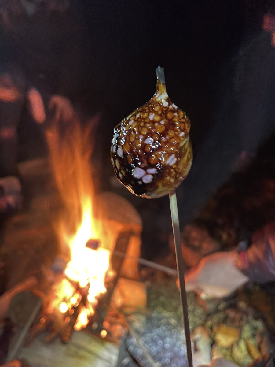 Monday night Scouts, campfires and marshmallows <a href="/259thScouts/">259th Stephen Hill Scouts</a>