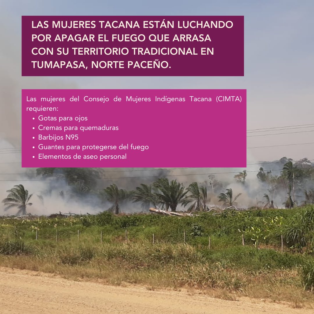 la_andrear's tweet photo. La semana pasada nos pusimos en contacto con las mujeres Tacana del norte paceño que han estado combatiendo el fuego en su territorio. Hemos organizado esta colecta para apoyarlas con elementos esenciales. 

Gracias por sus contribuciones y el RT 🙏🏽 https://t.co/2PD0TZsQdG