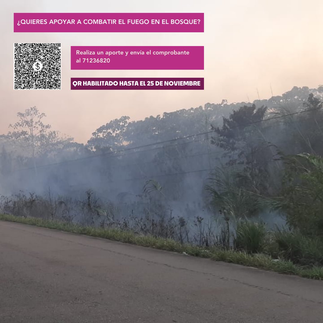 la_andrear's tweet photo. La semana pasada nos pusimos en contacto con las mujeres Tacana del norte paceño que han estado combatiendo el fuego en su territorio. Hemos organizado esta colecta para apoyarlas con elementos esenciales. 

Gracias por sus contribuciones y el RT 🙏🏽 https://t.co/2PD0TZsQdG