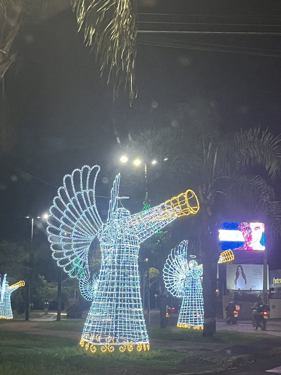 gabifogonholo's tweet photo. mais um natal chegando em indaiatuba e com eles os anjos fumando um baseado deste 
🫸🏻                🫷🏻 tamanho https://t.co/QkNZHK0ctp