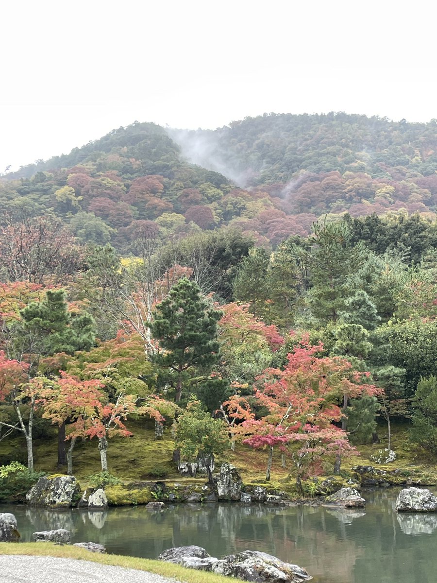 MoraimeT's tweet photo. Volvemos fascinados de Japón y sus mil y una maravillas jardineras, con Youtopia 💚🍂 https://t.co/kS9YP5hbAK