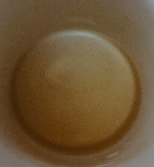 truthscant's tweet photo. Wow.... Just took this photo of my #essiac tea, &amp; it PROVES that the earth is round!

I am so sorry. I stand corrected

#lies https://t.co/rs1TinWEmt