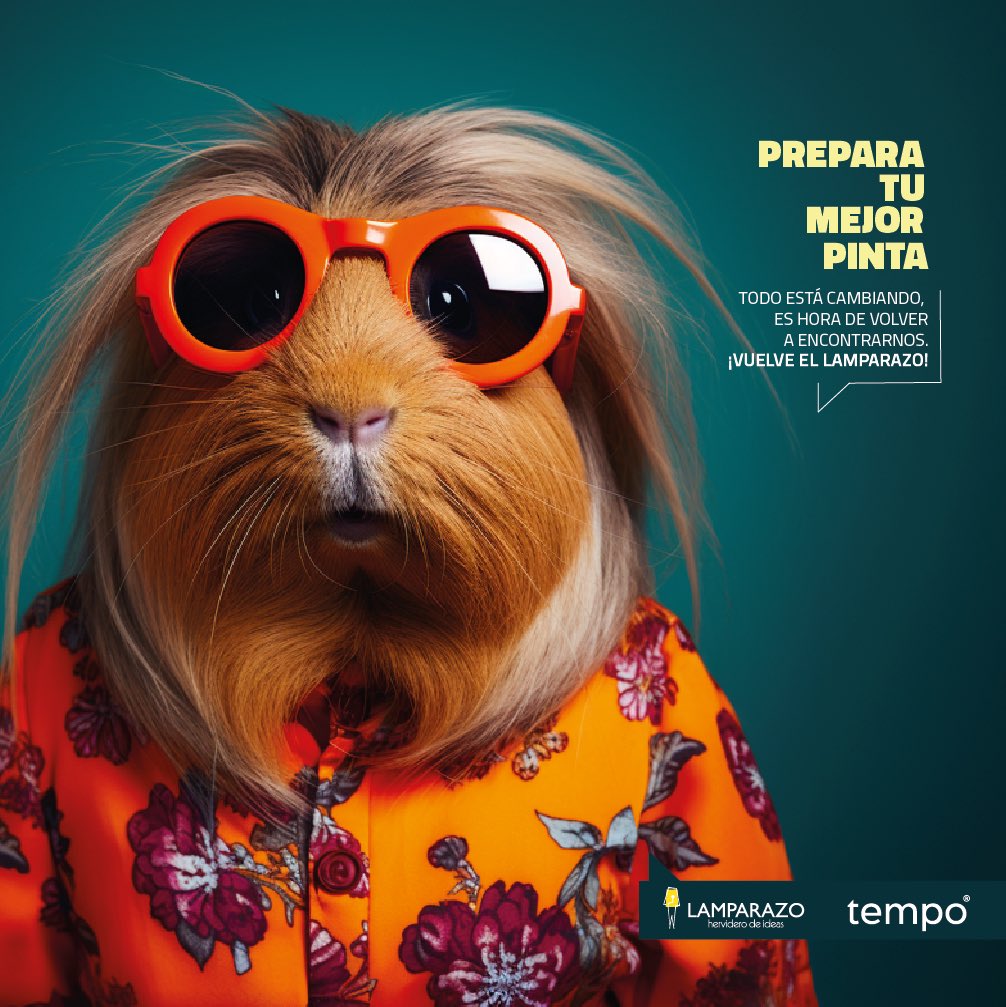 bienpensado's tweet photo. Vuelve El Lamparazo! Hace 12 años un grupo de amigos y amigas  creamos El  Lamparazo   con el objetivo de conectar los proyectos y las locuras que cada uno haciamos por nuestra cuenta.  Al son de unos hervidos y con invitados de todo tipo de temas logramos conectar nuestras cabezas y corazón.  12 años después vuelve el Lamparazo esta vez en una alianza entre @FeelingMetodo y el Coworking  Tempo.  Ya estaremos informado quien sera nuestro primer invitado para el jueves 30 de Noviembre.  Preparen su mejor pinta, su cabeza y corazón. Llegó el momento de volvernos a encontrar. ¡Vuelve el Lamparazo!  #Pasto