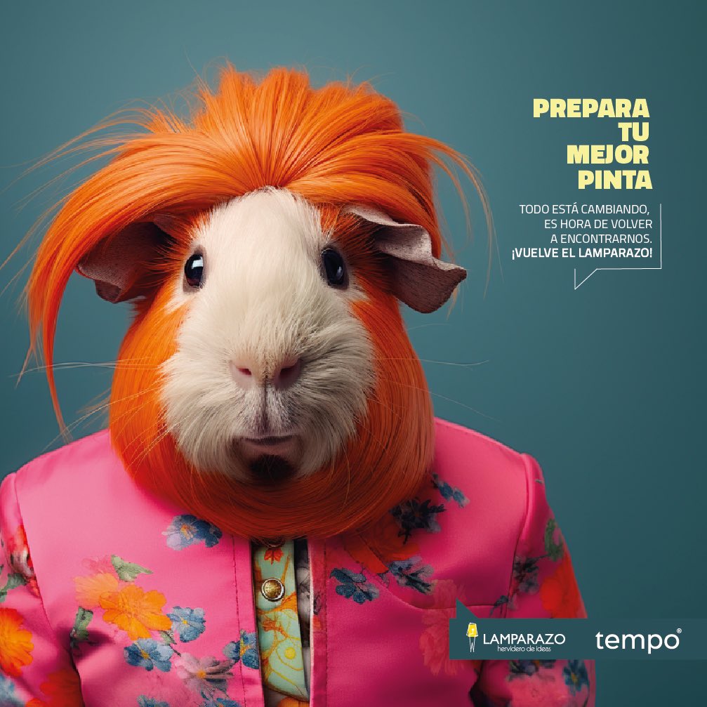 bienpensado's tweet photo. Vuelve El Lamparazo! Hace 12 años un grupo de amigos y amigas  creamos El  Lamparazo   con el objetivo de conectar los proyectos y las locuras que cada uno haciamos por nuestra cuenta.  Al son de unos hervidos y con invitados de todo tipo de temas logramos conectar nuestras cabezas y corazón.  12 años después vuelve el Lamparazo esta vez en una alianza entre @FeelingMetodo y el Coworking  Tempo.  Ya estaremos informado quien sera nuestro primer invitado para el jueves 30 de Noviembre.  Preparen su mejor pinta, su cabeza y corazón. Llegó el momento de volvernos a encontrar. ¡Vuelve el Lamparazo!  #Pasto