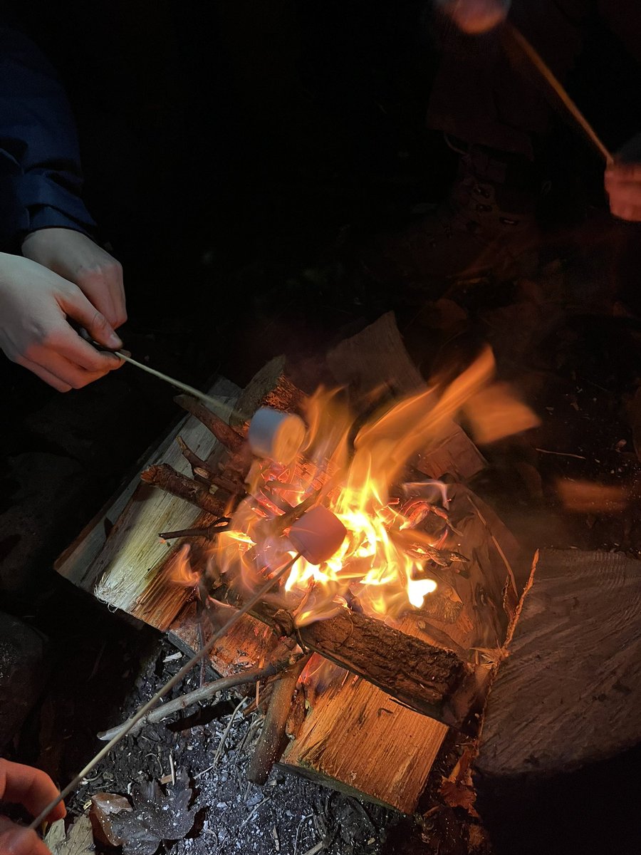 259th Stephen Hill Scouts tweet media