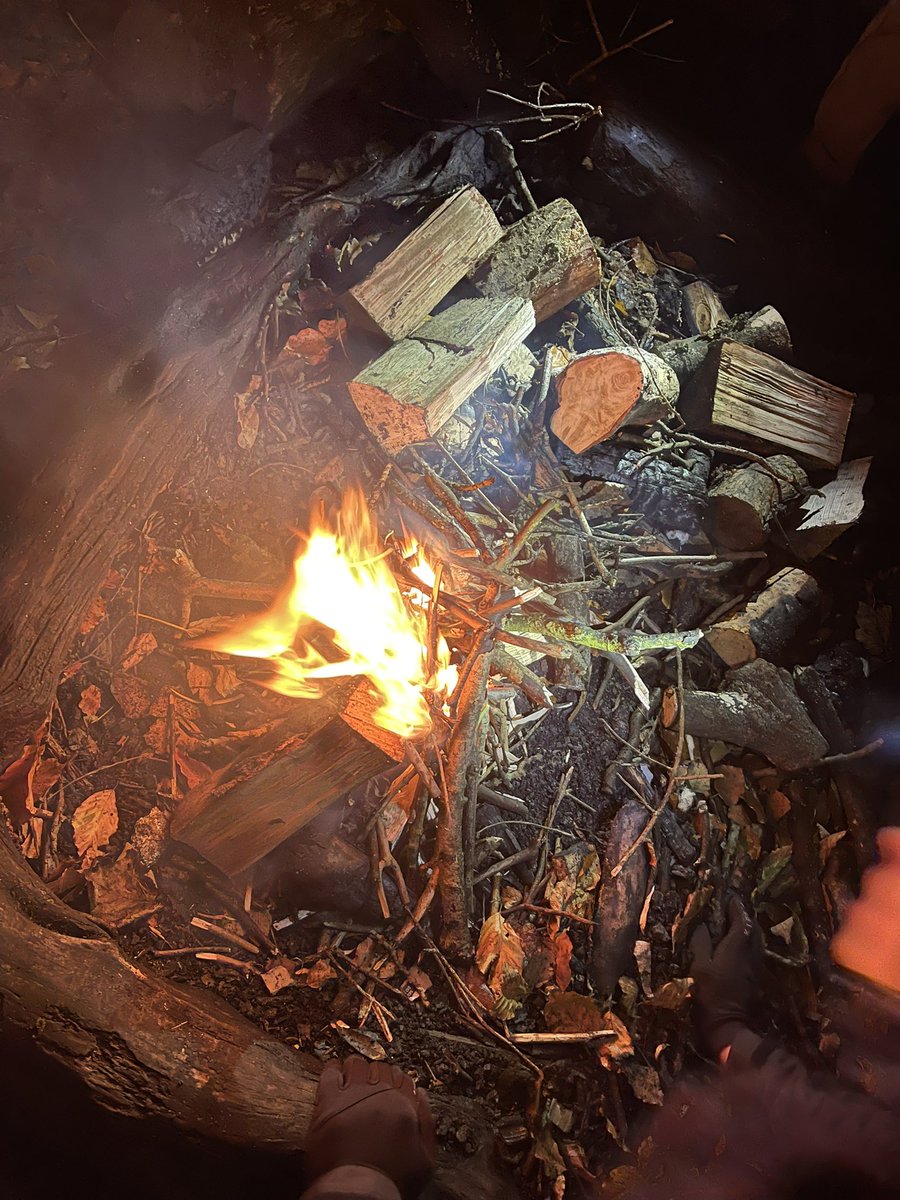 259th Stephen Hill Scouts tweet media