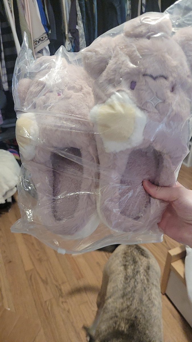 enviezcos's tweet photo. THEY ARRIVEDD!! I'm so excited to wear them for Aila😋 tysm @lucidrecms for hosting a GO for these slippers:33 #drecmsproofs https://t.co/4Du8UIgxgu