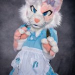 Photo by 🎀 Muffin 🎀 (@MuffinsMeows)