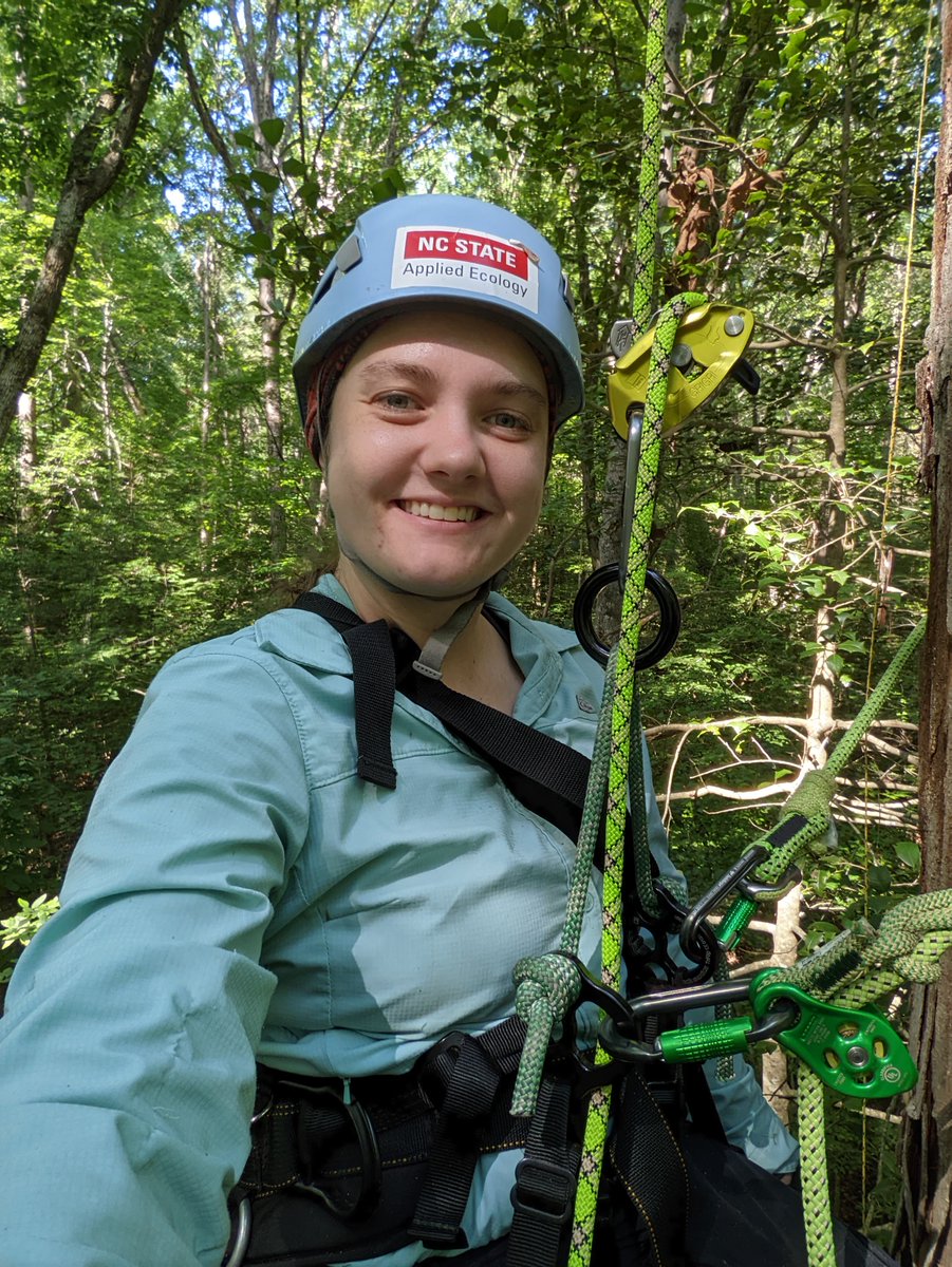 Michelle Kirchner (@mkirchner_ants) on Twitter photo ๐จNew paper!
I climbed up a tree, found a rare species of ant, and @Bertonemyia took some gorgeous photos, including the first-ever images of the males, juveniles, and intercastes of the species!
Check it out: doi.org/10.4289/0013-8โฆ
Big thanks to <a href="/BBlaimer/">Bonnie Blaimer</a> & Elsa Youngsteadt! ๐จNew paper!
I climbed up a tree, found a rare species of ant, and @Bertonemyia took some gorgeous photos, including the first-ever images of the males, juveniles, and intercastes of the species!
Check it out: doi.org/10.4289/0013-8โฆ
Big thanks to <a href="/BBlaimer/">Bonnie Blaimer</a> & Elsa Youngsteadt!