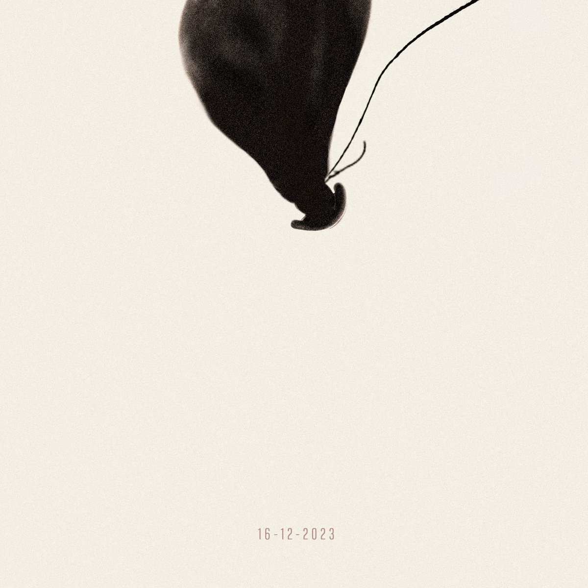 Americania tweet media