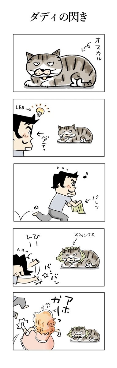 ダディの閃き♬
#こんなん描いてます #自作まんが #漫画 
#猫まんが #4コママンガ #NEKO3 