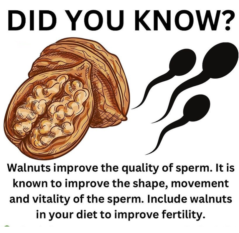 FiveFitness's tweet photo. Did you know? 🤔
#Walnuts #Fertilty #Food #Diet #Nutrition https://t.co/nr3XIoEAkB