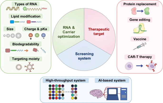 #RNA Nanomedicine: Delivery Strategies and Applications
| Jaiwoo Lee; Yu-Kyoung Oh <a href="/SeoulNatlUni/">Seoul National University</a> |  rdcu.be/drANO
 #AAPS <a href="/AAPSComms/">American Association of Pharmaceutical Scientists</a>
#nanomaterials #Nanomaterials