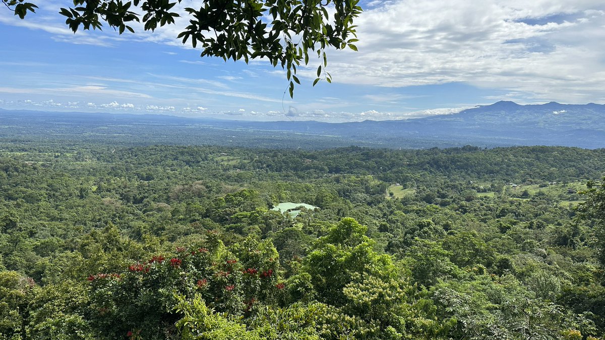 Applications for Fly School are now open! Join us 1-12 Aug 2024 in Costa Rica for our first course offering in the Neotropics! Visit dipteracourse.com for the application.
