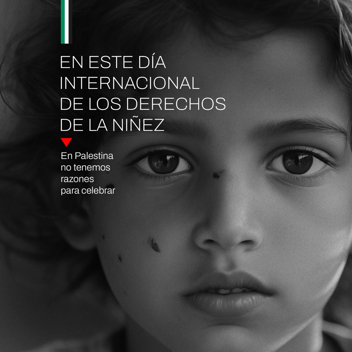pazlestina's tweet photo. En sus ojos se refleja la voz de una infancia que clama por paz. Este Día de la Infancia, pongamos fin a su silencio. #DíaDeLaInfancia #EsperanzaParaPalestina #Pazlestina #ConlosniñosNO https://t.co/yIkYjGFsVN