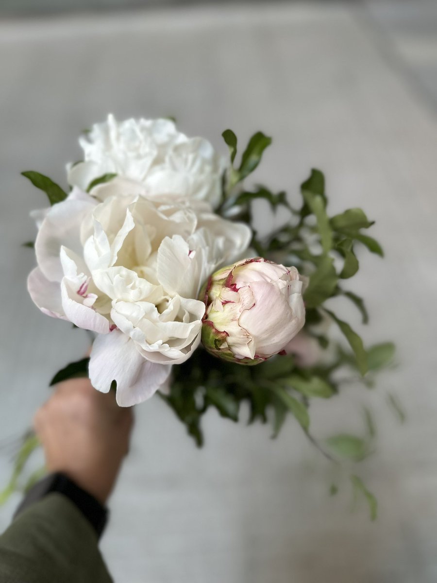 EntrefloresSi's tweet photo. 👰🏻El Ramo de Agostina 👰🏻… Peonías para su Ceremonia Religiosa 🦋… Feliz Boda💕!…
#entrefloressi #entrefloressibride #ramodenovia #flowers https://t.co/2G7PZKvtsm