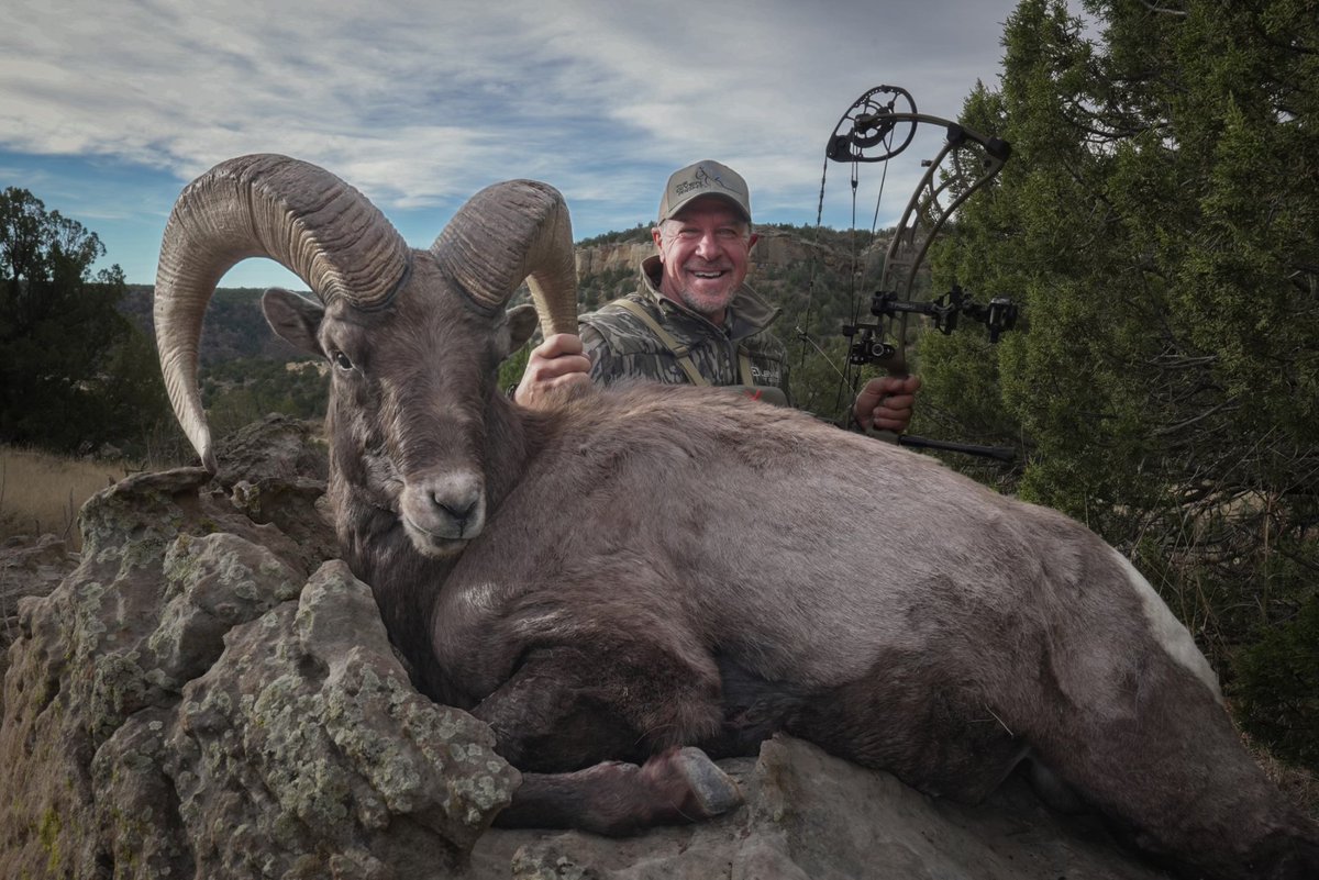 OUTDChannel's tweet photo. Congrats to our buddy Mark Heck of @TheGivenRight - Hunting for fulfilling a lifelong dream and tagging out on his Rocky Mountain Bighorn Sheep! Way to go Mark, that is amazing and by bow as well.
#FindYourAdventure #hunting #thegivenright #bighorn #sheep #rockymountain https://t.co/HmsPeEjSGq