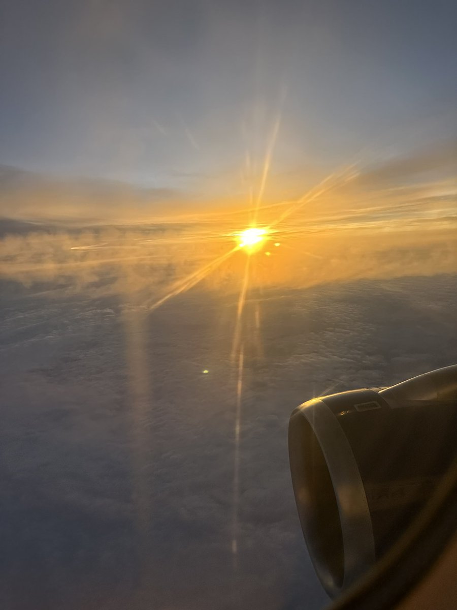 David Neve tweet media