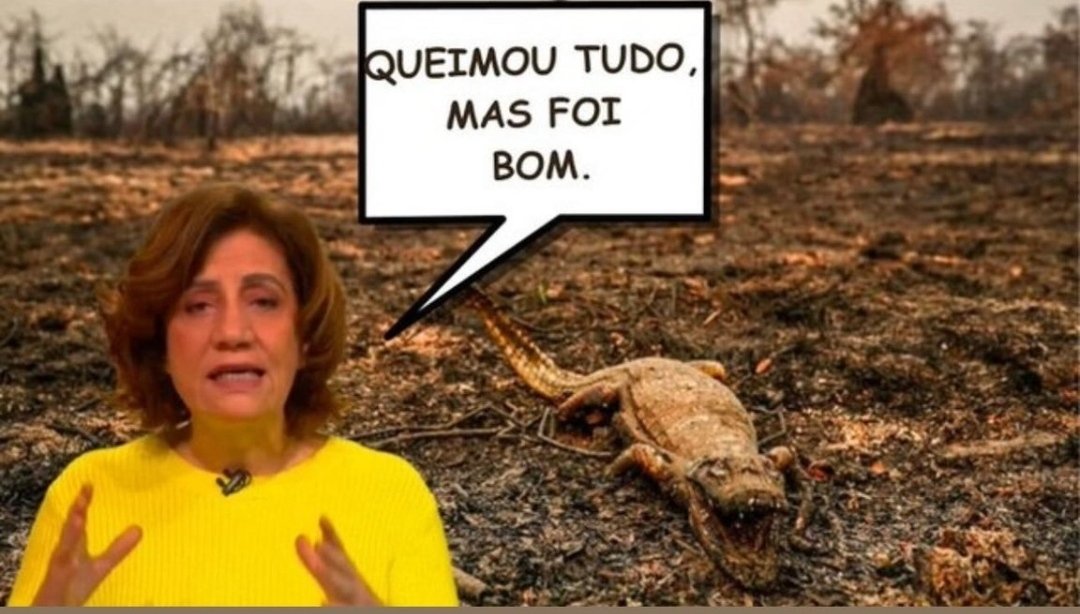 leafaaar's tweet photo. Queimada democrática https://t.co/BqfCl59QG1