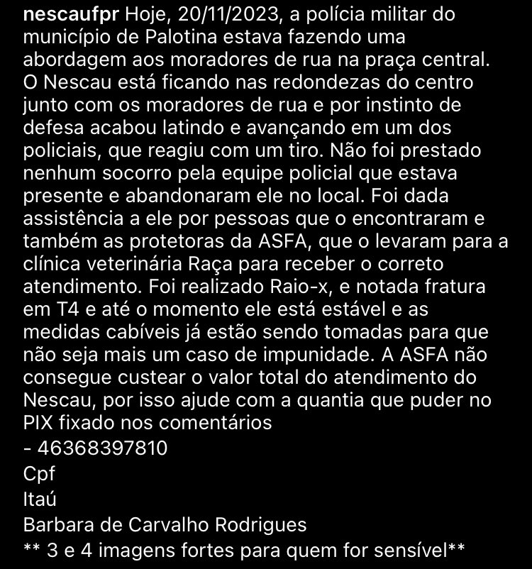 Esse é o Nescau, ele é um cão que vive na rua, muito querido entre os estudantes da UFPR. Como todo cachorro, o Nescau é um cão extremamente leal e defende àqueles que cuidam dele a todo custo, infelizmente, ele não sabe do que se trata uma abordagem policial e acabou seguindo +