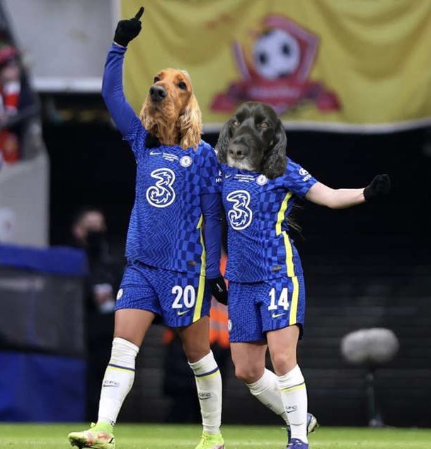 frankirbydaily's tweet image. Name a better duo