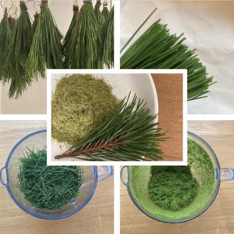 yotubalabo's tweet image. 松葉石鹸(まつば石けん)を入荷いたしました。自然との調和を大切にしたナチュラル石鹸🌿 ܸ。天然の松葉エキスを贅沢に配合しています。
ご興味ある方はbaseショップを覗いてくださいね☺️
 #松葉  #松葉石鹸
 #無香料無着色石鹸
 #オール植物性
 #baseで販売
 #ブラックフライデークーポン