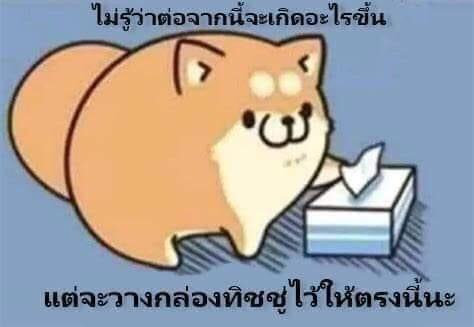 singthireahenn1's tweet photo. @mininow_ https://t.co/NjWPgHVPJI