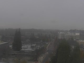 holden_lecroy's tweet image. Hahaha Eugene at 42 degrees at 3pm in November while it's almost 60 degrees in both Oakridge and Roseburg, 62 degrees in Coos Bay😂 Gotta love how fog/clouds disrupt things. #ORwx #Oregon #microclimate
