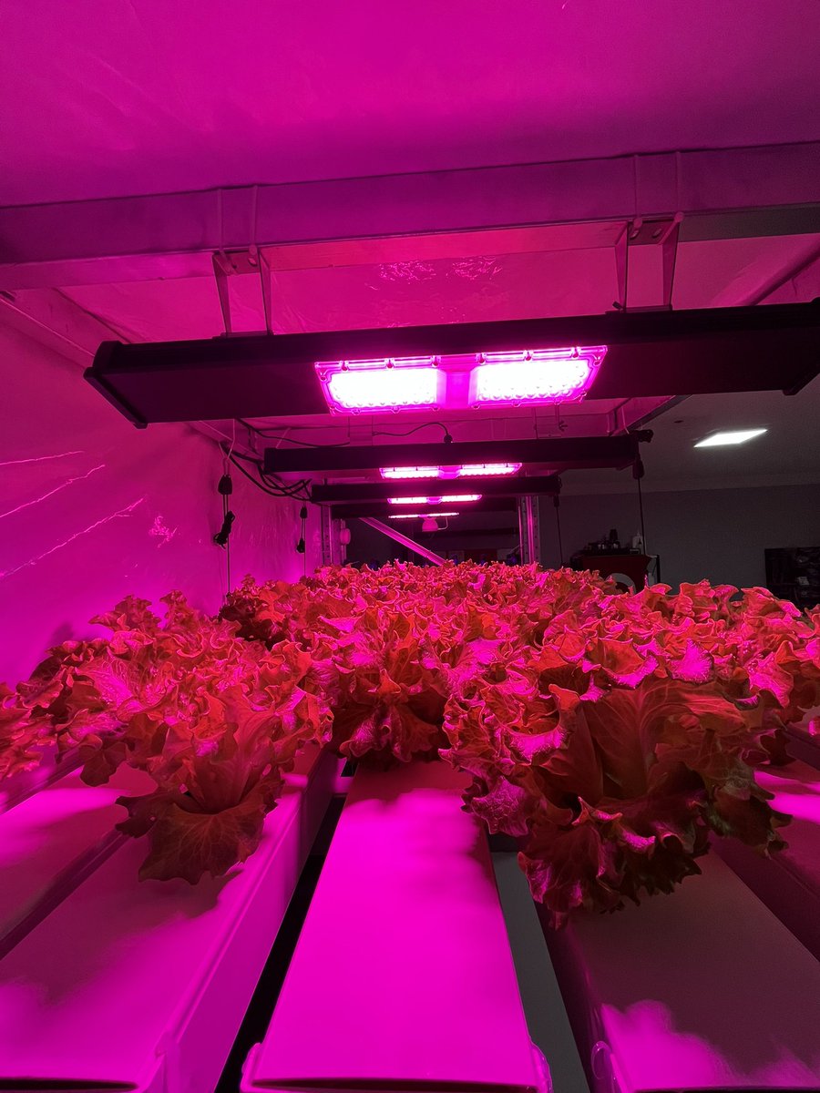 Nasıl başladı, nasıl gidiyor?