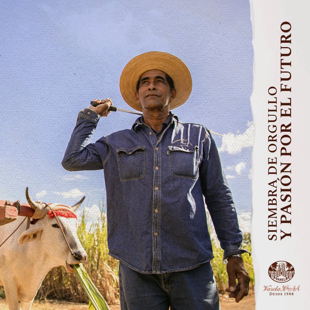 En Varela Hermanos, nuestra cosecha es un legado que florece con dedicación y visión de un mañana mejor. 🌱🌟
#CultivandoElFuturo #VarelaHermanos #siembradeorgulloypasion #Panamá