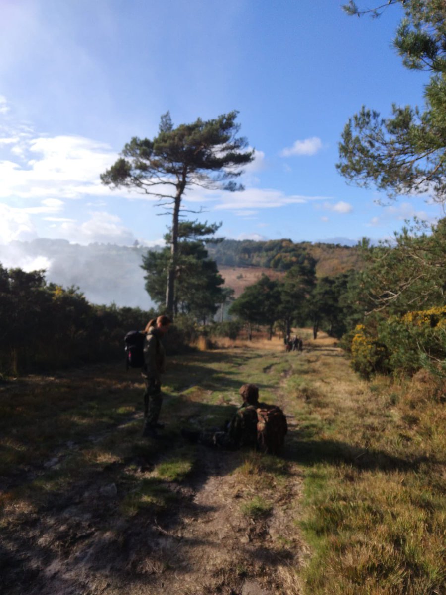 Simon Dean OBE tweet media