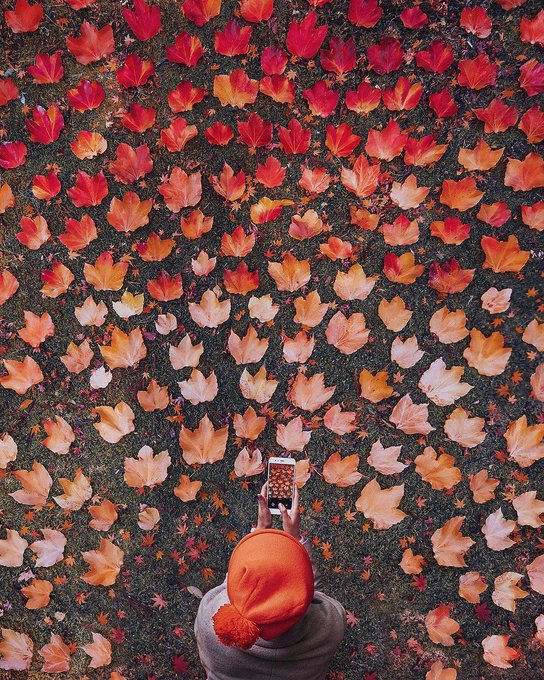 Even if no one opens their arms to you, you have to embrace yourself.