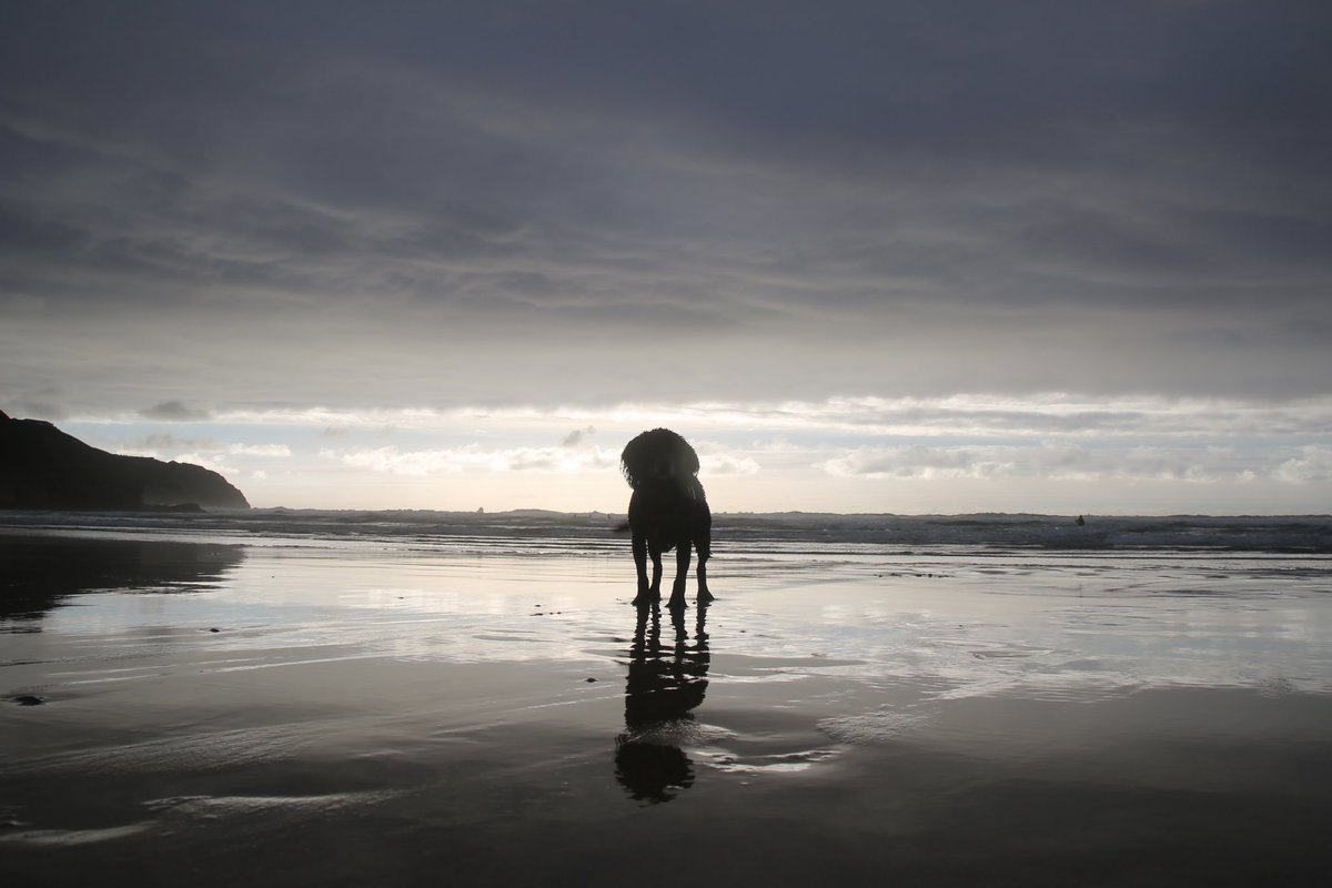 Tim Freeman tweet media