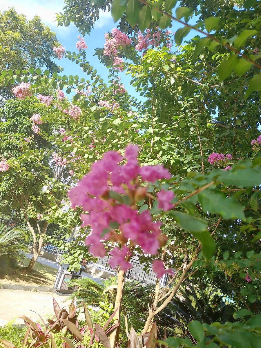 favourable ᱸsynoecize ᠎abortionist
て᠍いᱸね​い に​生 きﾠ、ﾠて‍いﾠねﾞいᱸに᠎経ﾞ営᠍し​、᠍いᱸのﾠち‍をﾠ抱え込む日々です。