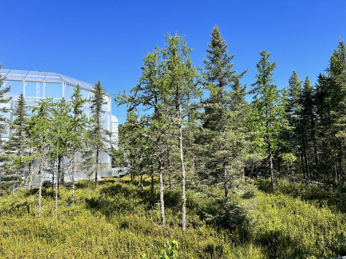 Avni Malhotra tweet media