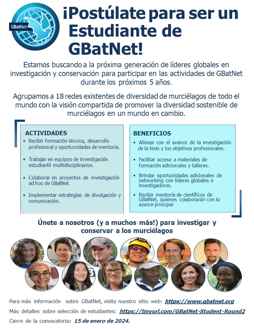 📣¡ATENCIÓN!
🦇Nos complace anunciar que la Unión Mundial de Redes de Diversidad de Murciélagos (GBatNet) de la cual RELCOM es parte, está en la búsqueda de la próxima cohorte de estudiantes GBatNet. 
📅Fecha límite para la postulación: 15 de enero del 2024