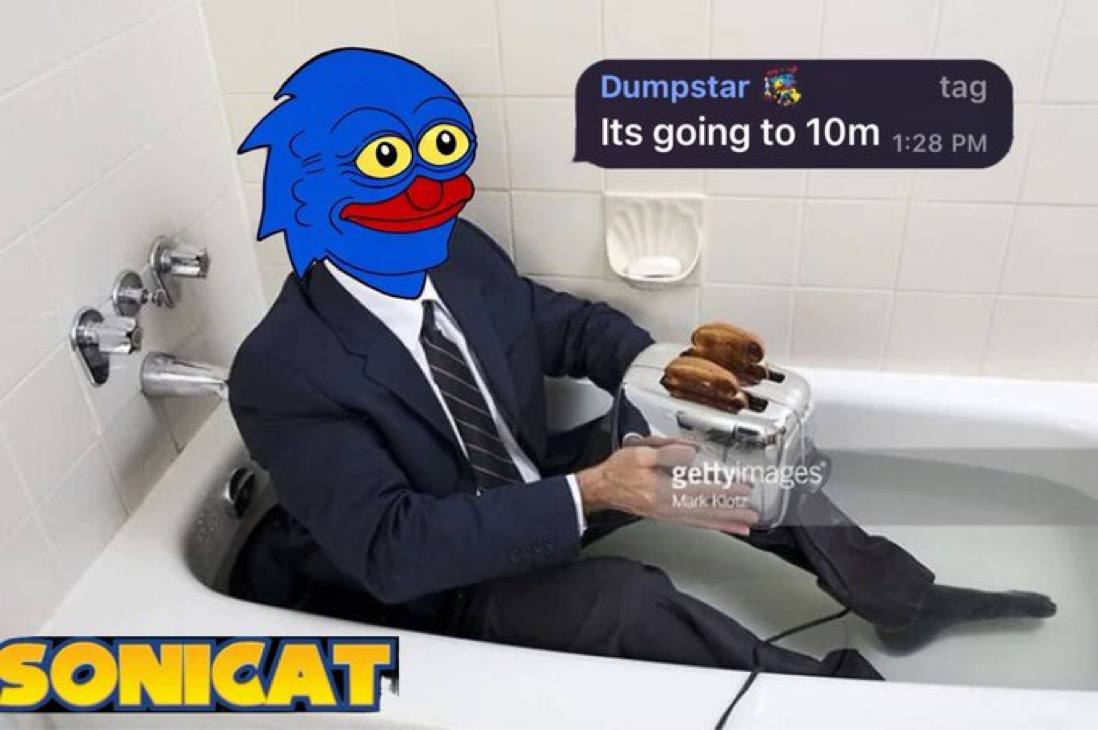 SONICAT tweet media