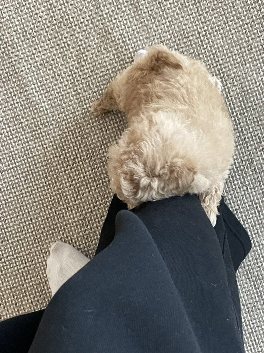 중학교 마지막 시험 보고 올게요!
