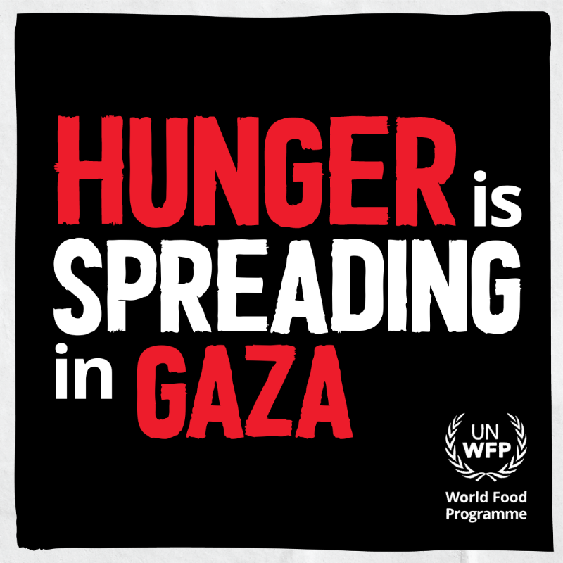 WFP's tweet photo. Around 2.2 million people in #Gaza need urgent food assistance. 

Existing food systems are collapsing, and to reach those in need, WFP and our partners need increased access and resources like fuel, gas, and connectivity.

To make a real impact, we need hostilities to halt.