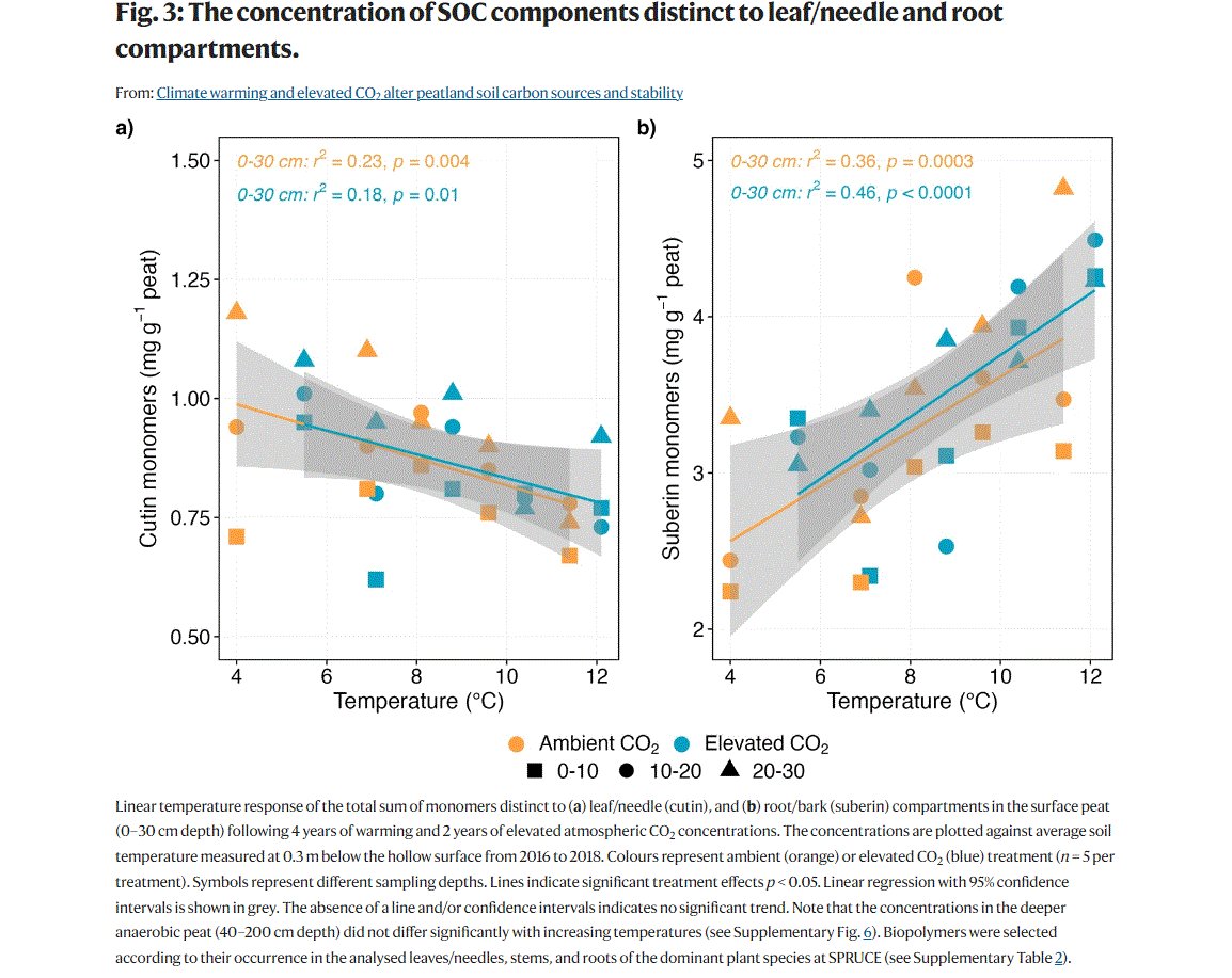 Avni Malhotra tweet media