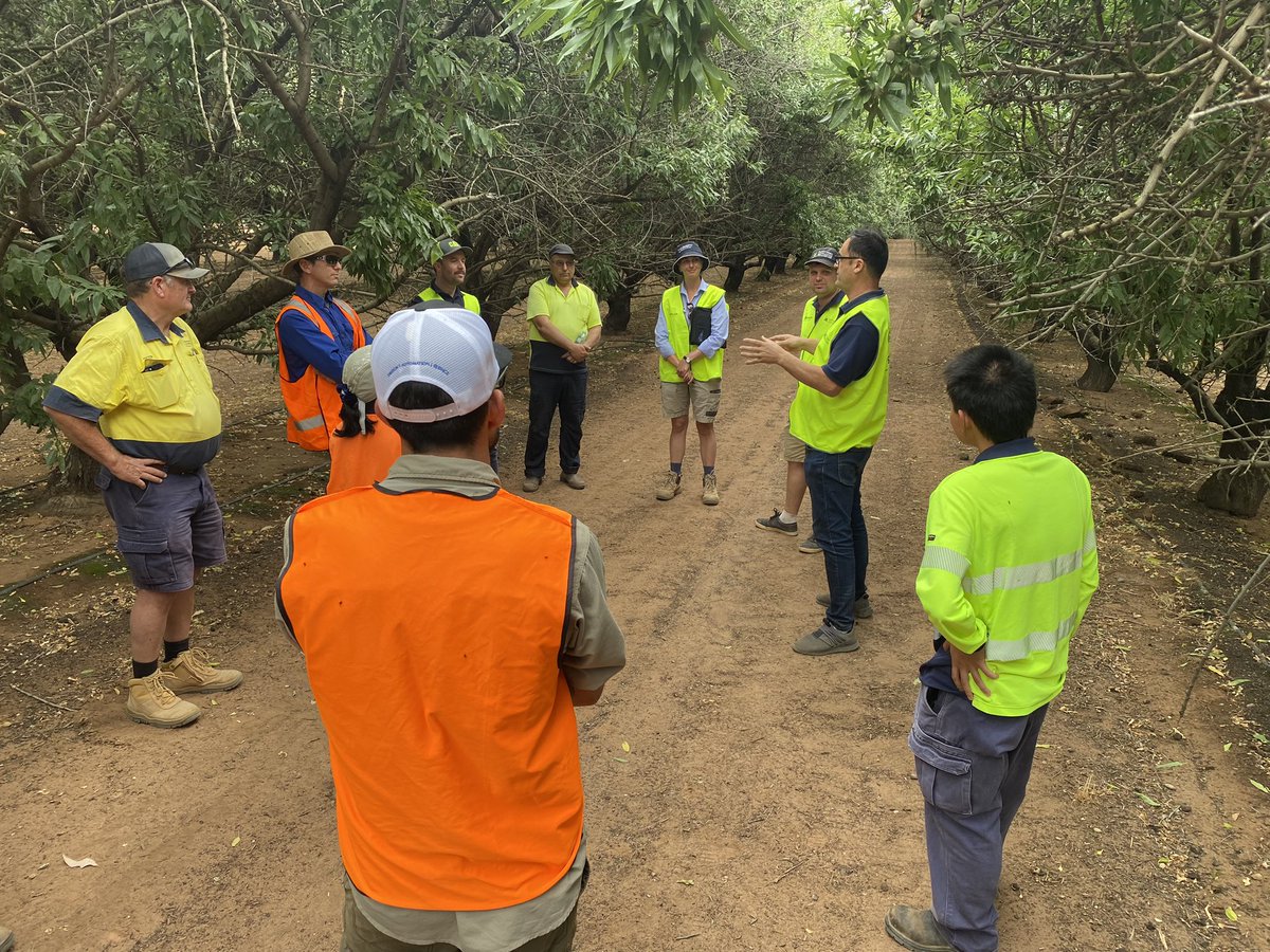 Brittany Oswald tweet media