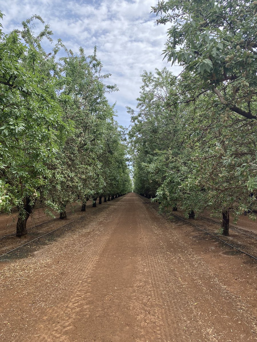 Brittany Oswald tweet media