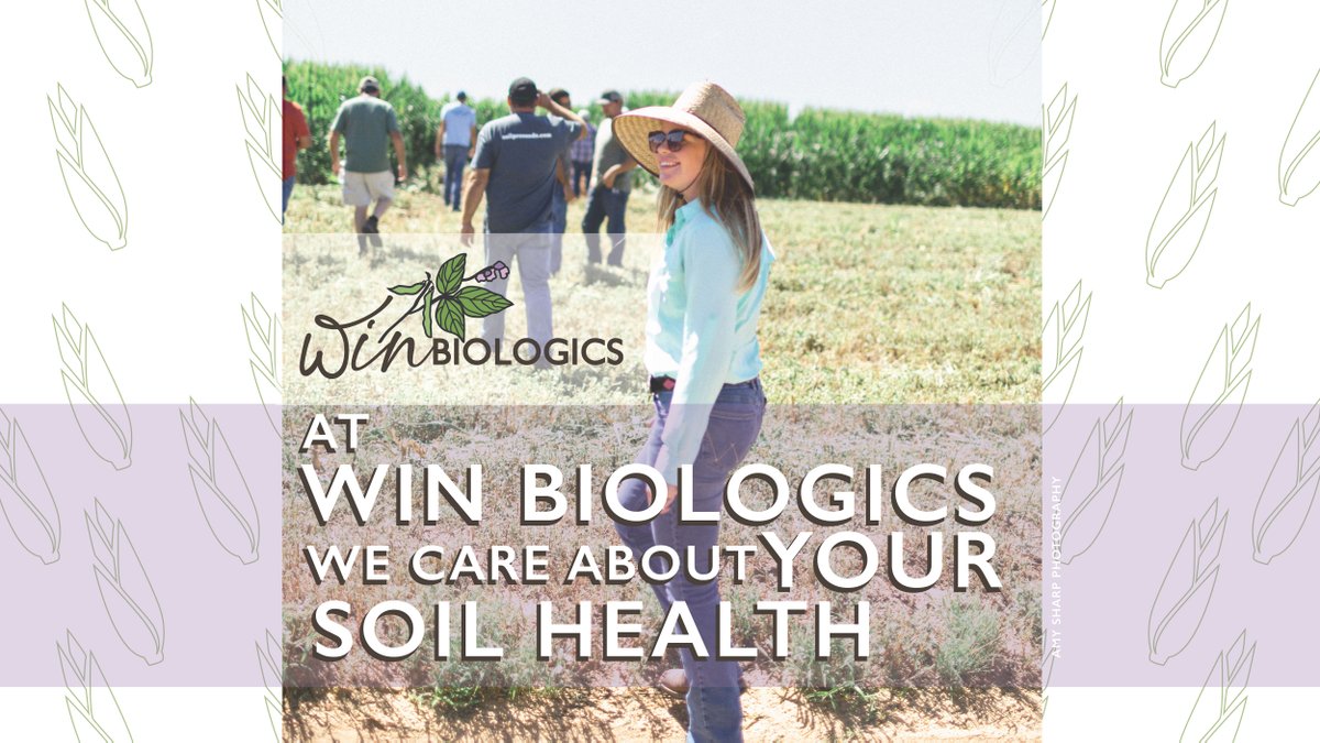 🌱 Meeting farmers today to grow profitability and soil life for tomorrow! 🌱
We would love to work with YOU and help you create healthy soil for you and your farmland. Contact us: winbiologics.com  |  620-253-1401