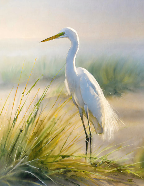 Pabodie_Art's tweet photo. #BuyIntoArt #FallForArt #artistprint #AYearForArt #giftideas #watercolor #watercolorpainting #canvasprint #egret #blueheron #waterscapes #birds
EGRET BY THE SEA makes a great gift and can be purchased here: https://t.co/wPCnEXzh9Q https://t.co/keNPq2z4Hx